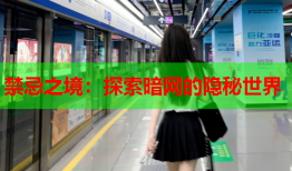 禁忌之境：探索暗网的隐秘世界
