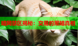 暗网禁区揭秘：交易的黑暗真相