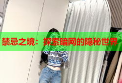 禁忌之境：探索暗网的隐秘世界