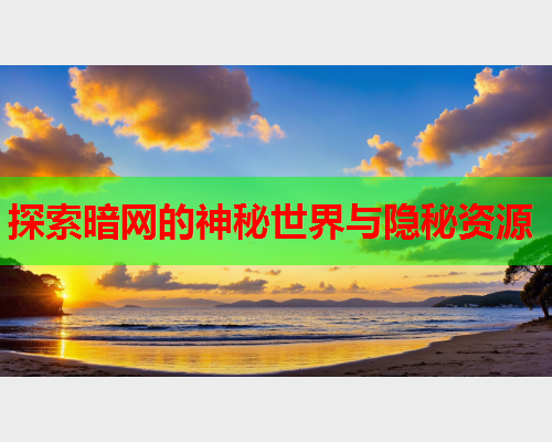 探索暗网的神秘世界与隐秘资源