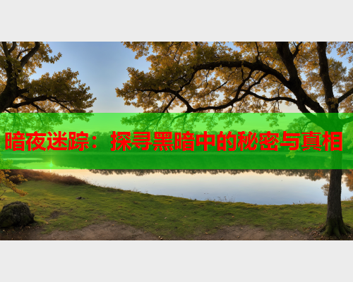 暗夜迷踪：探寻黑暗中的秘密与真相