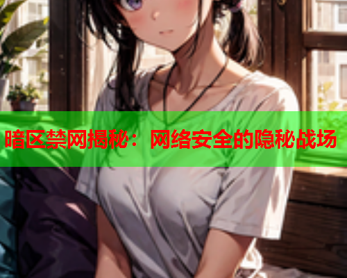 暗区禁网揭秘：网络安全的隐秘战场