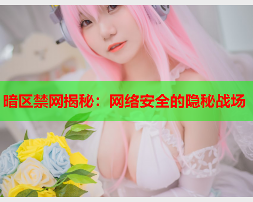暗区禁网揭秘：网络安全的隐秘战场