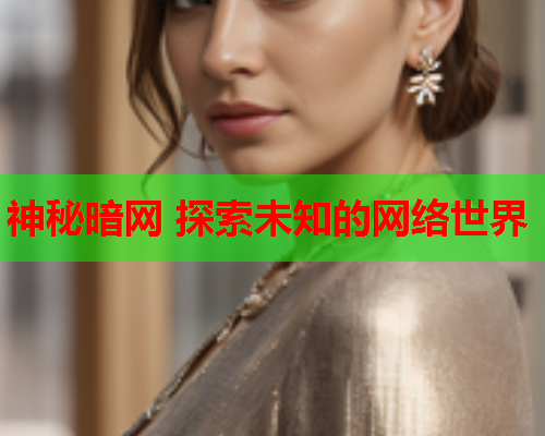 神秘暗网 探索未知的网络世界